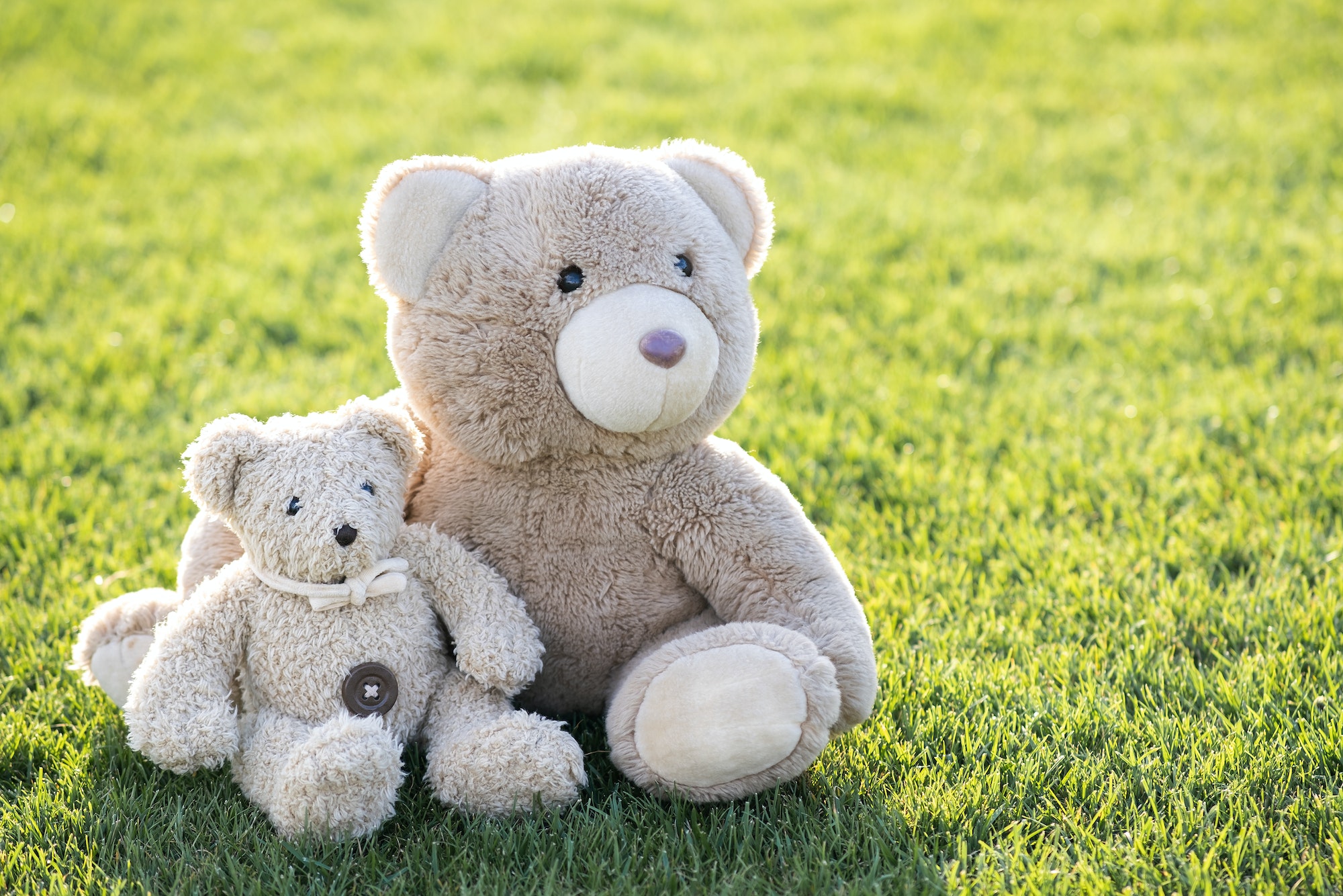 Two cute teddy bear toys hugging together on green grass in summer