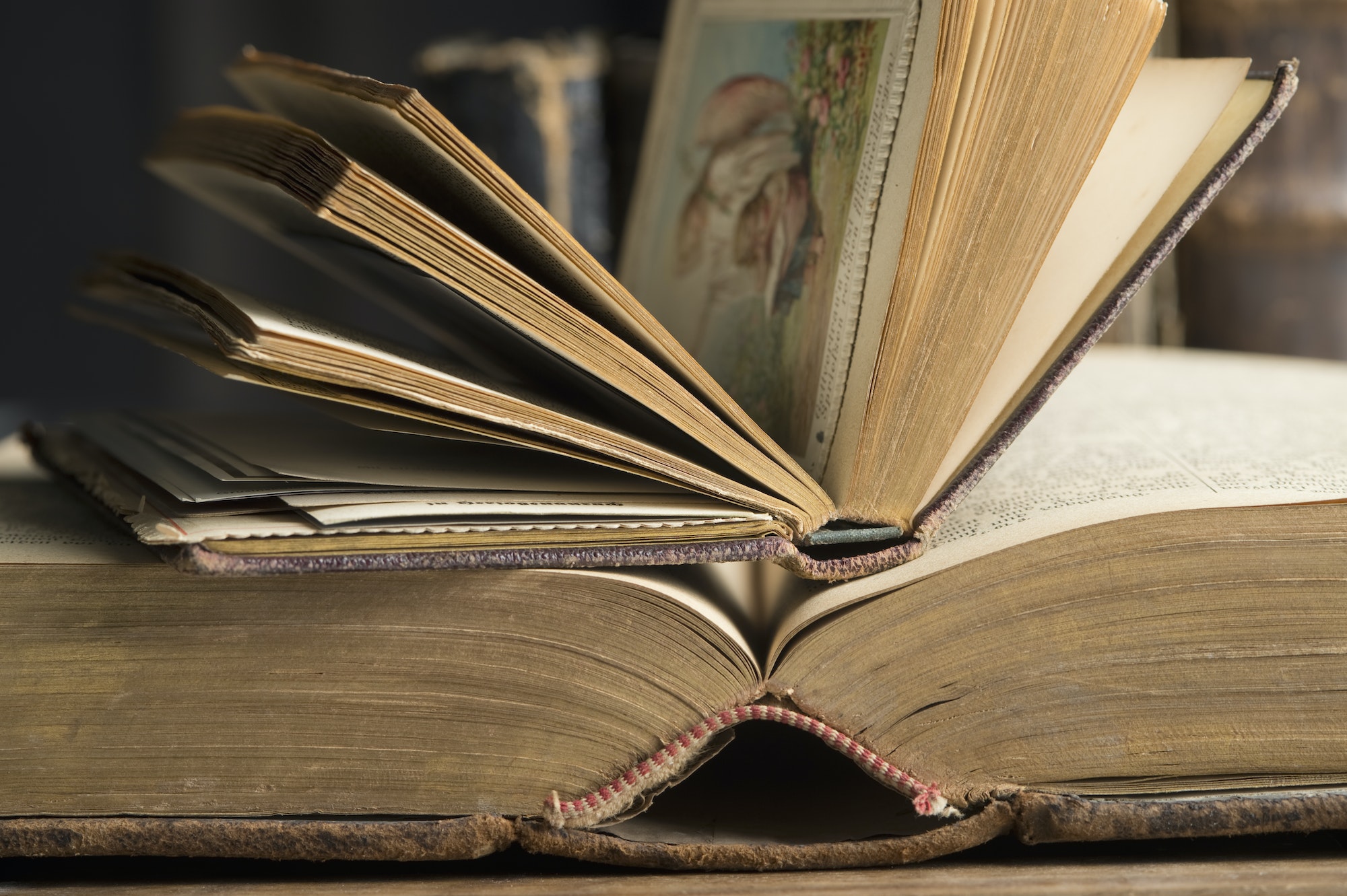 Two opened book in a historic library, close-up